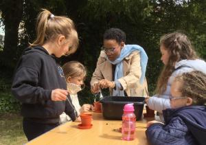 6 mai 2017 - Planter des graines de tournesol